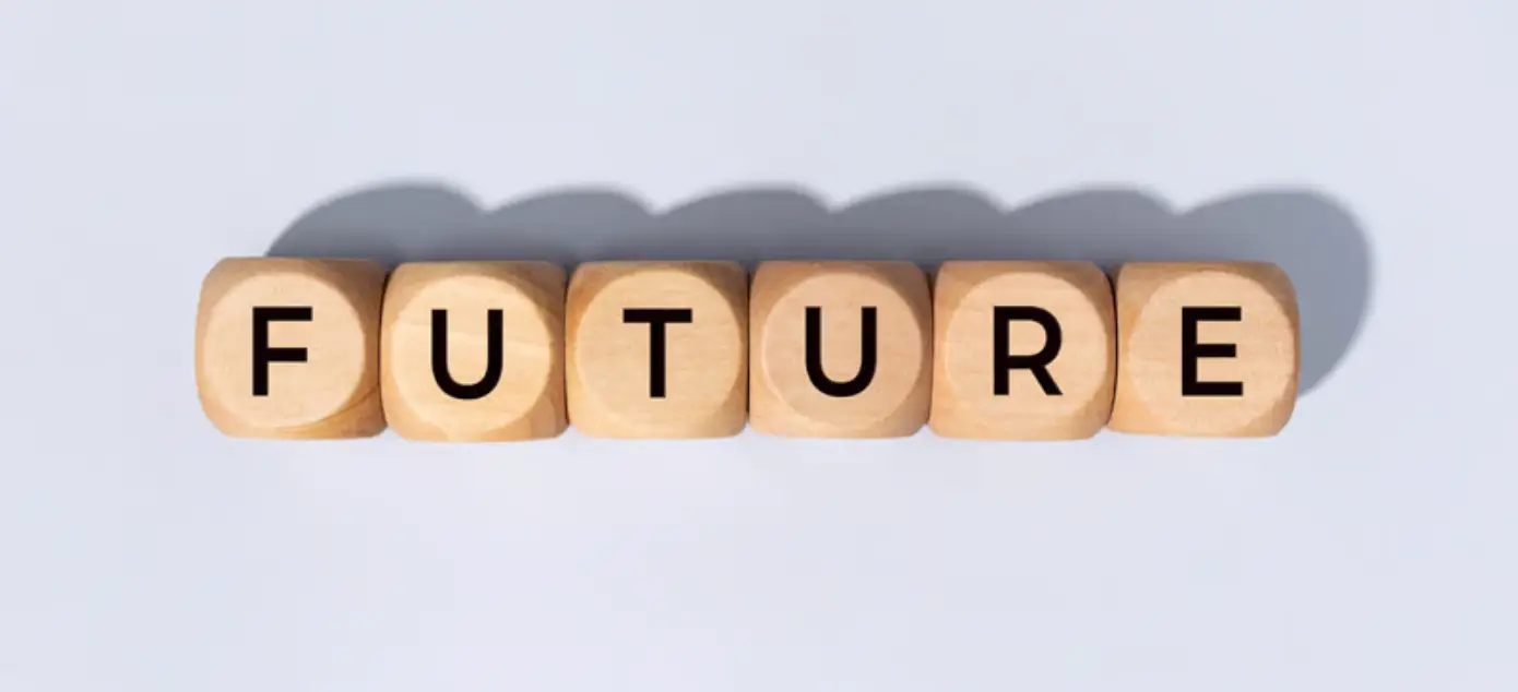 Future of Social Investments: Literature