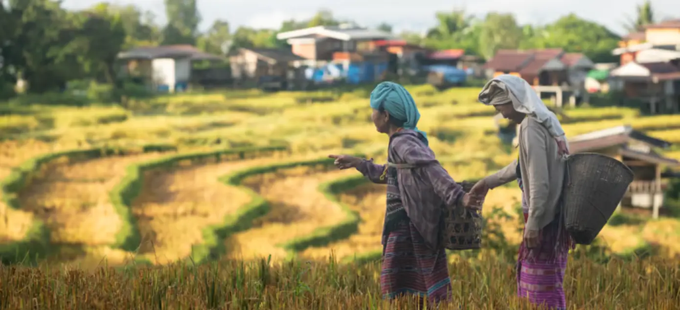 Future of Social Investments: Livelihoods